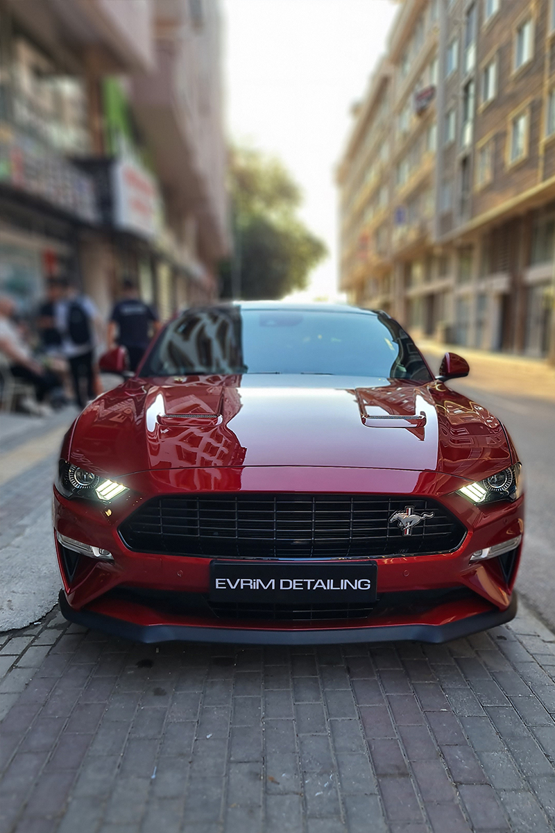 Mustang Car Detail